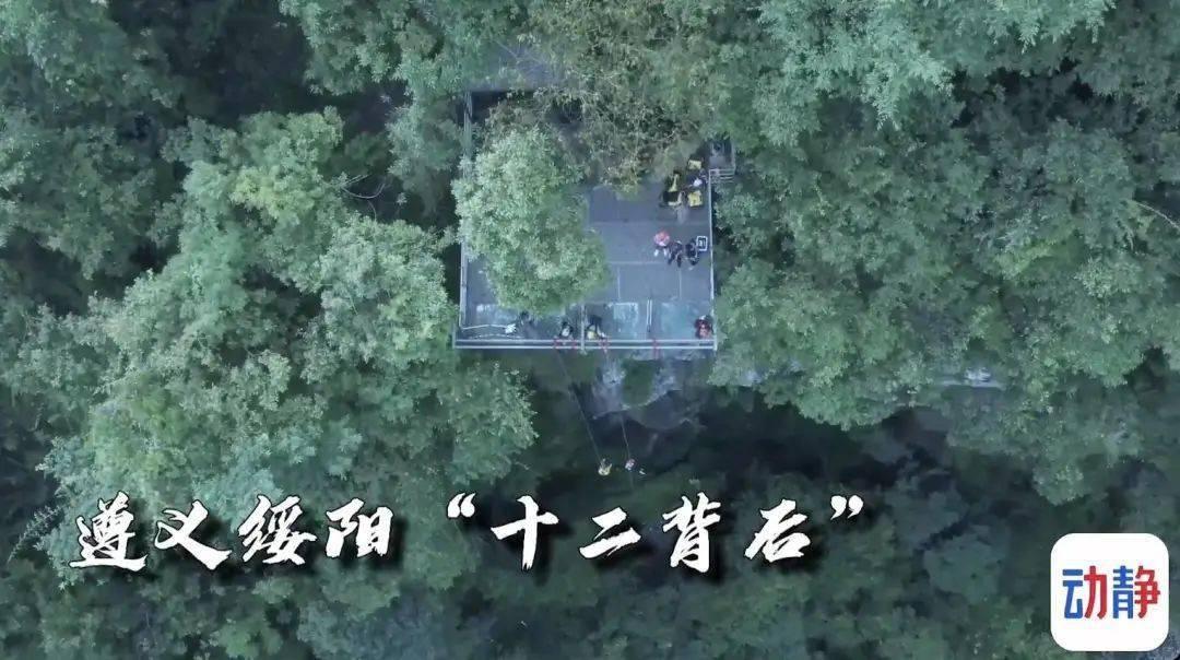 官方:利雅得胜利中场塞科-福法纳租借加盟达曼协作至赛季结束